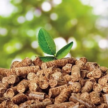 26fc26_182b0ee5db9143eb870b1cf1515fb198~mv2