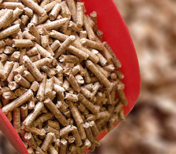 biomass-pellet
