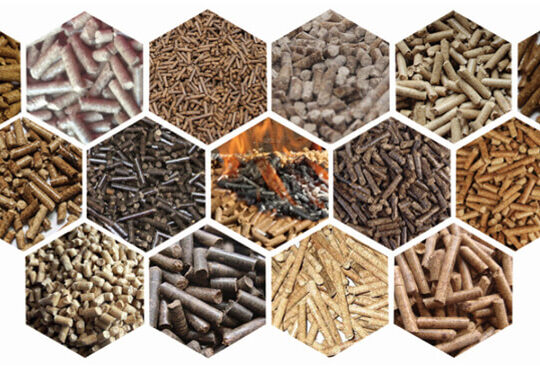 biomass-pellets-produced-by-ring-die-wood-pellet-mill