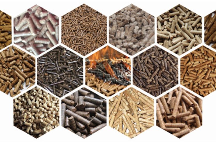 biomass-pellets-produced-by-ring-die-wood-pellet-mill