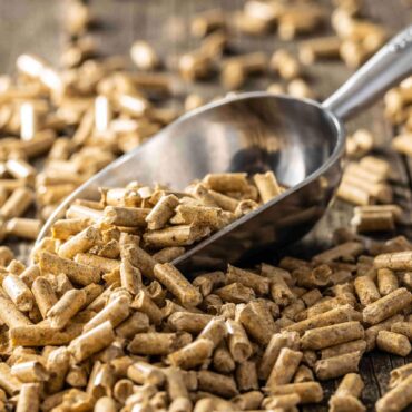 wood-chips-vs-wood-pellets-for-biomass-scaled