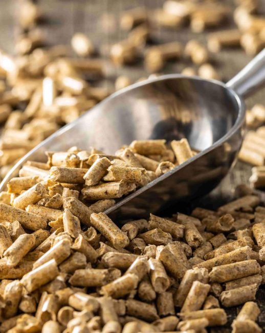 wood-chips-vs-wood-pellets-for-biomass-scaled